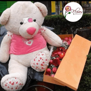 Caja mágica con Peluche y Rosas